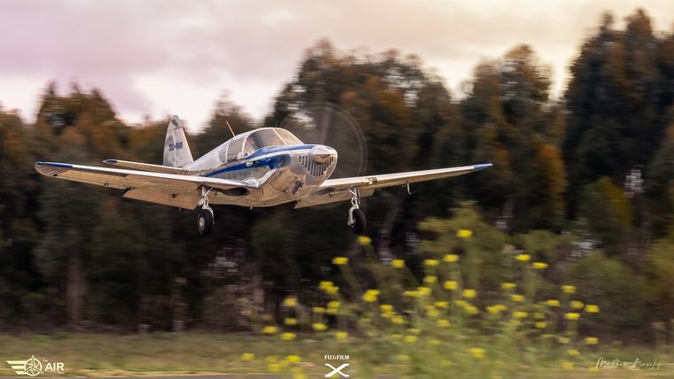 Swift light aircraft coming in to land past trees, photograph by Matthew Brooks